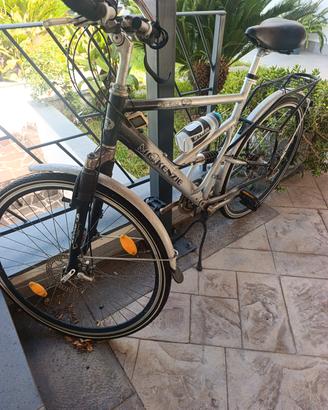 bici da passeggio 