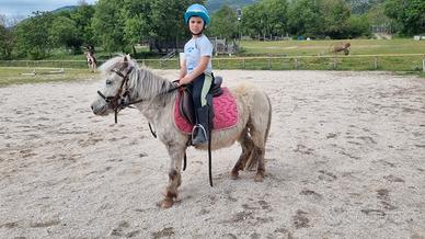 Pony femmina
