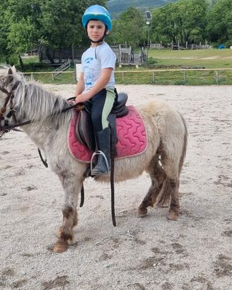 Pony femmina