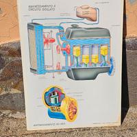 CARTELLO DIDATTICO AUTOSCUOLA VINTAGE BIFACCIALE