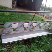 Cattura per pecore e capre