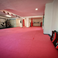 Palestra arti marziali