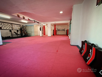 Palestra arti marziali