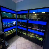 Vasche Esposizione  acquariologia