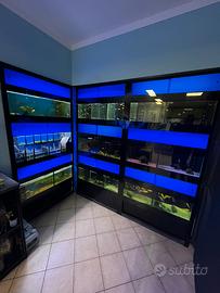 Vasche Esposizione  acquariologia