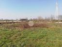 ter-agricolo-a-cuggiono