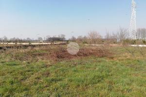 TER. AGRICOLO A CUGGIONO