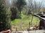 Immagine 13