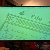 Philips 24” FullHD IPS USB-C + braccio Invision