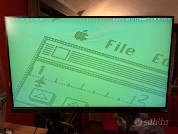 Philips 24” FullHD IPS USB-C + braccio Invision