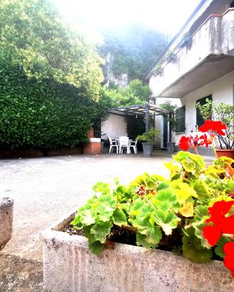 Bilocale comodo alle spiagge