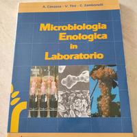 Microbiologia Enologia in Laboratorio 