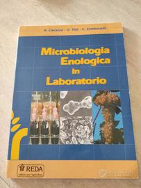 Microbiologia Enologia in Laboratorio 