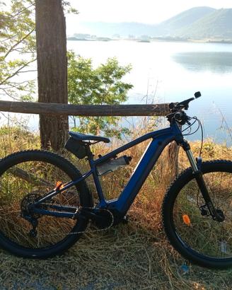 Bicicletta con pedalata assistita