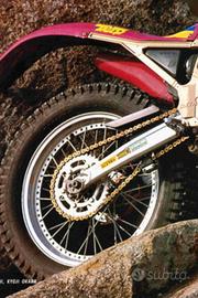 Forcellone trial beta synt / zero/ tr 34