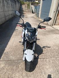 Benelli Tornado Naked T  125