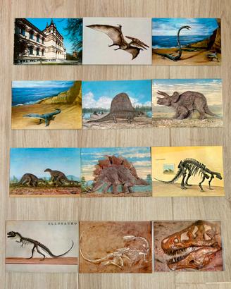 Lotto 12 cartoline Museo Storia Naturale di Milano
