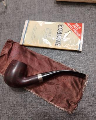 pipa HARDCASTLR special Deluxe 2