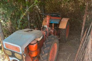 Trattore pasquali 946