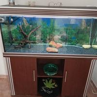  acquario 300L