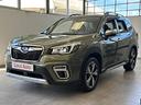 subaru-forester-2-0-e-boxer-mhev-cvt-lineart-t