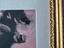 Immagine 5