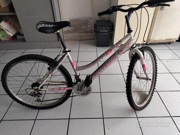mountain bike