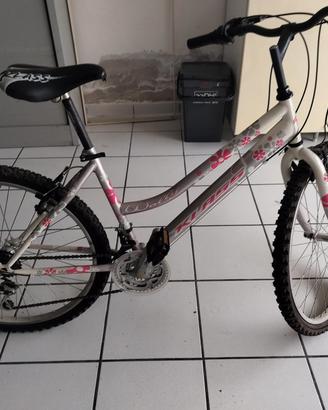 mountain bike