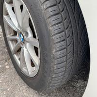 Gomme estive