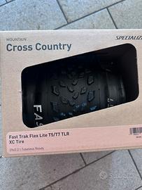 Specialized Fast Track