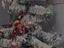 Immagine 3