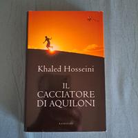 IL CACCIATORE DI AQUILONI