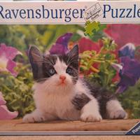 Puzzle gattino Ravensburger 1500 pezzi.