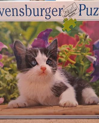 Puzzle gattino Ravensburger 1500 pezzi.