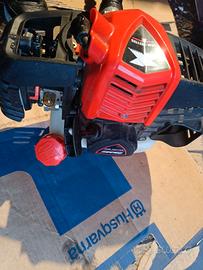 decespugliatore  Echo 3021 tes