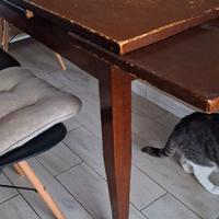 Tavolo in arte povera