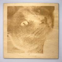 Foto ricordo incisa con laser su legno