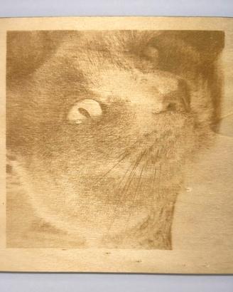Foto ricordo incisa con laser su legno