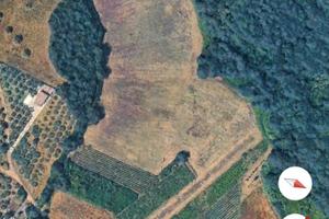 Terreno Agricolo