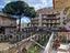 Immagine 9