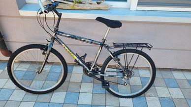 bicicletta ruota 25