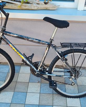 bicicletta ruota 25
