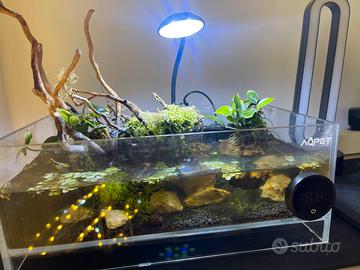 Vasca design per gamberetti caridine