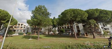 Metaponto - Villetta a schiera