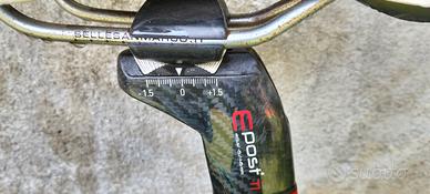 bicicletta in carbonio