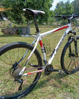 Bicicletta Lapierre Raid 529 MTB