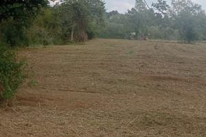 Terreno agricolo
