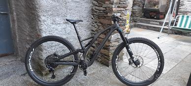 Specialized stumpjumper evo TG S2