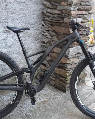 Specialized stumpjumper evo TG S2