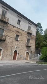 Grande casa indipendente con 6000 m2 di uliveto